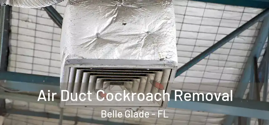 Air Duct Cockroach Removal Belle Glade - FL