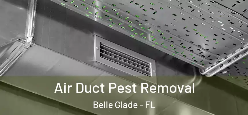 Air Duct Pest Removal Belle Glade - FL