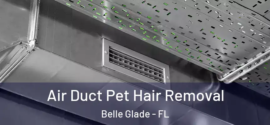  Air Duct Pet Hair Removal Belle Glade - FL