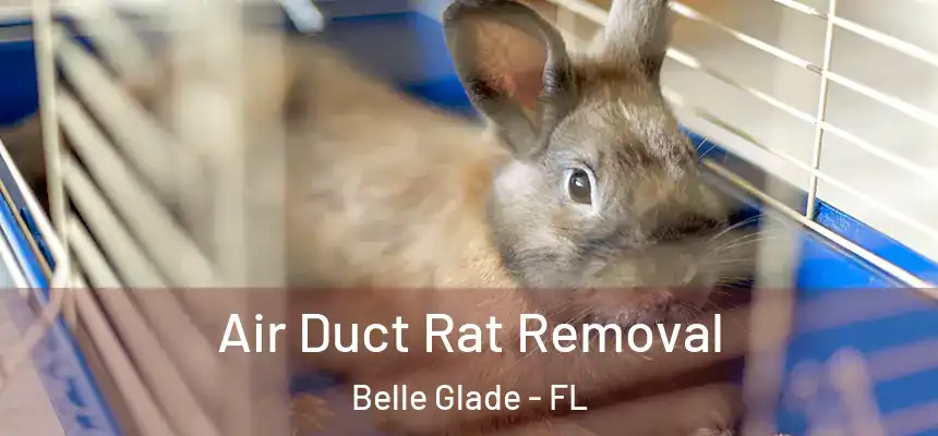  Air Duct Rat Removal Belle Glade - FL
