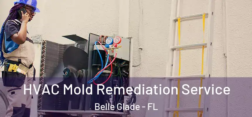 HVAC Mold Remediation Service Belle Glade - FL