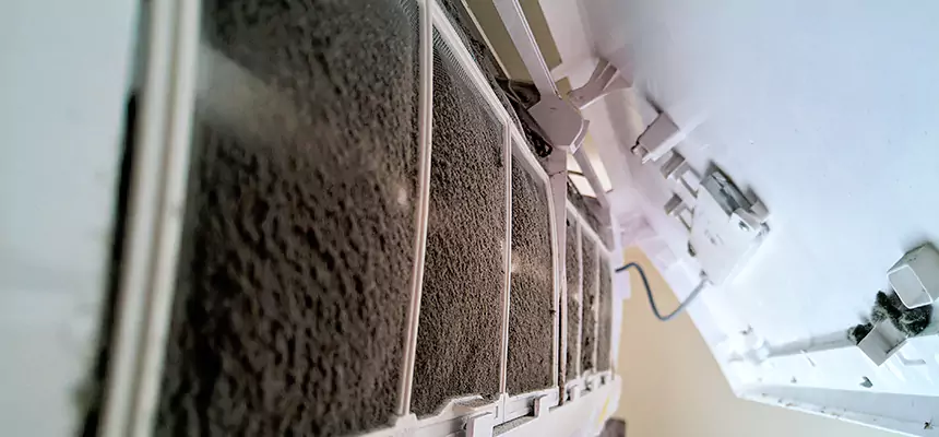 Preventive Air Duct Bacteria Removal in Belle Glade