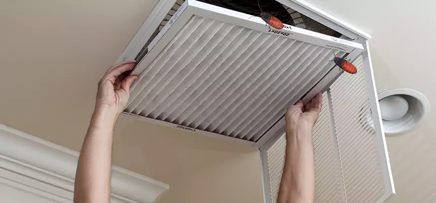 Preventive Cockroach-Proofing for Ducts in Belle Glade