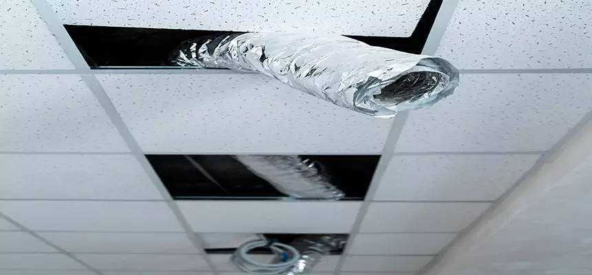 Affordable HVAC Sanitizing After Pest Removal in Belle Glade