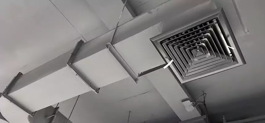 Restorative Allergy Relief Vent Cleaning – Coil, Blower & Housing Detail in Belle Glade