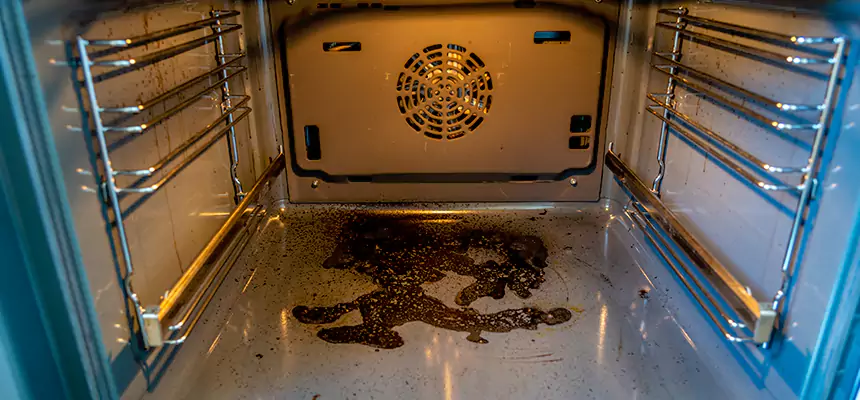 Our Dryer Vent Mold Cleaning Services in Belle Glade, FL