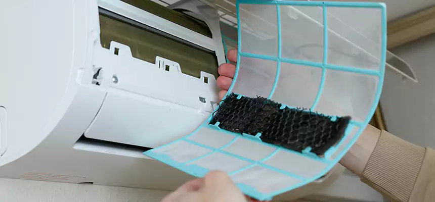 Gentle Ductwork Odor-Control Pet Dander Duct Cleaning in Belle Glade, FL