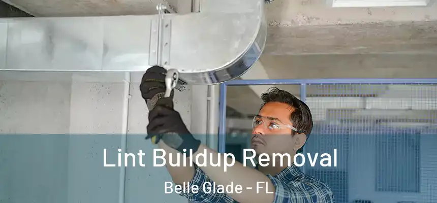 Lint Buildup Removal Belle Glade - FL