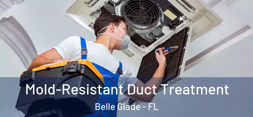 Mold-Resistant Duct Treatment Belle Glade - FL