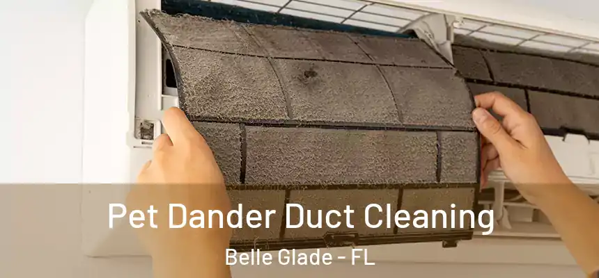 Pet Dander Duct Cleaning Belle Glade - FL