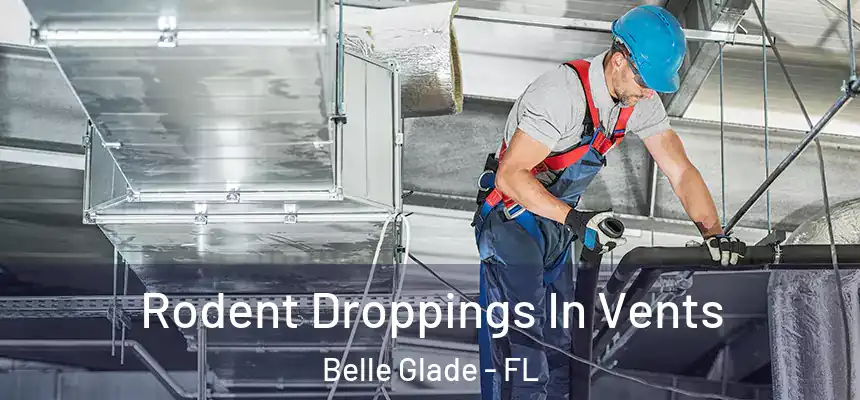 Rodent Droppings In Vents Belle Glade - FL