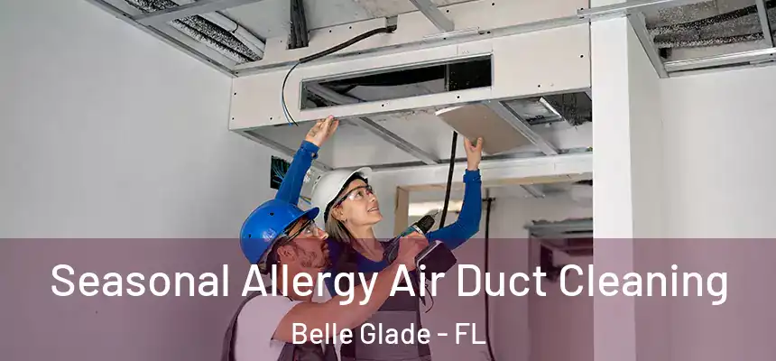  Seasonal Allergy Air Duct Cleaning Belle Glade - FL
