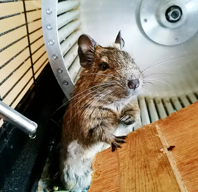 Why Homeowners & Businesses Trust Us Belle Glade, FL