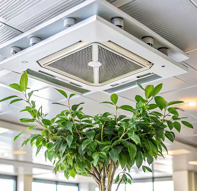 Why Homeowners & Businesses Trust Us in Belle Glade, FL?