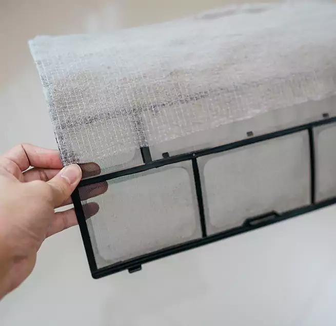 Why Homeowners & Businesses Trust Us in Belle Glade, FL?