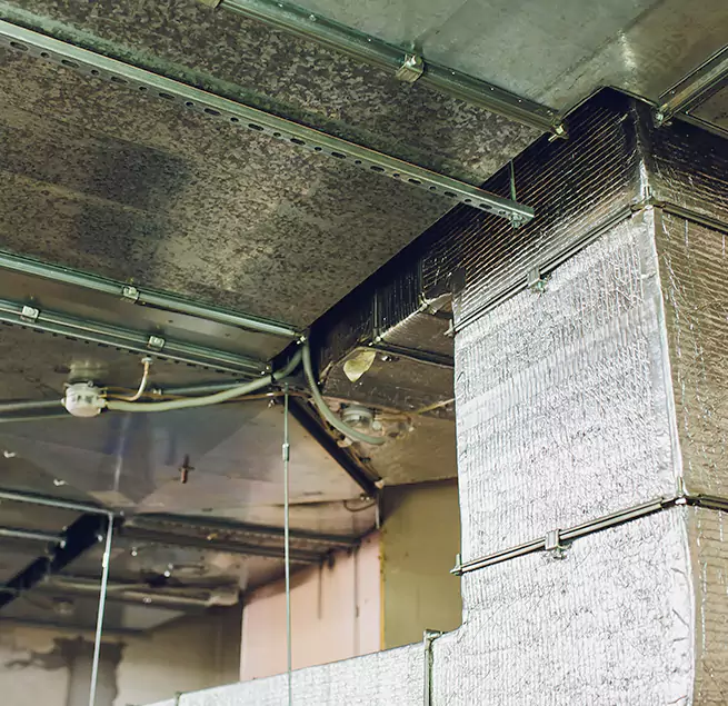 Why Homeowners & Businesses Trust Us in Belle Glade, FL?